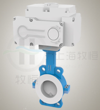 電動(dòng)襯氟蝶閥